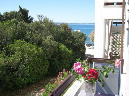 Hostal Guesthouse Lisica