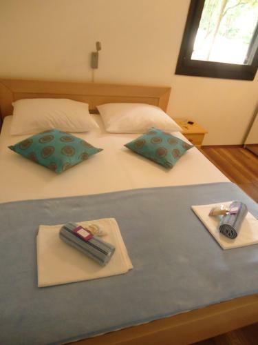 Hostal Guesthouse Lisica