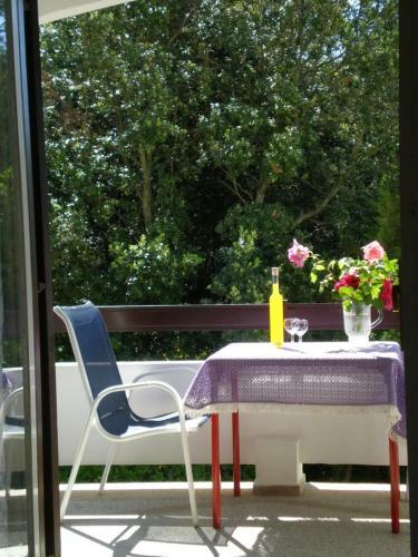 Hostal Guesthouse Lisica