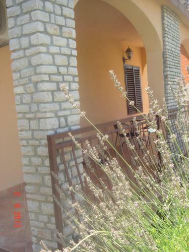 Apartments Renata