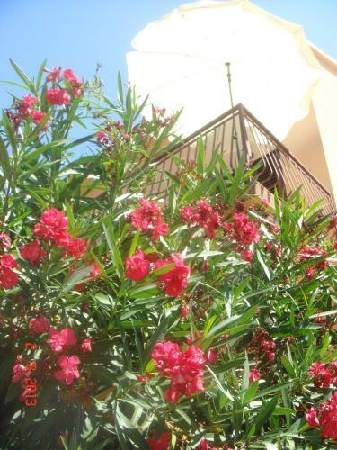 Apartments Renata