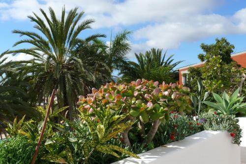 Apartamento Casa Del Sol Tenerife