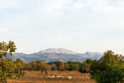 Villa Stunning Finca