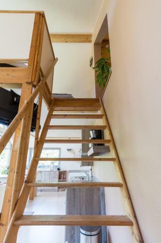 Apartamento Studio Am Kaitzer Weinberg