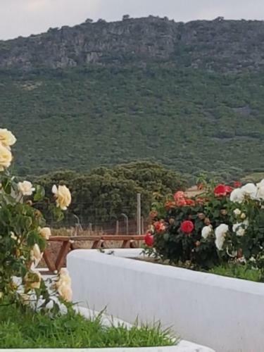 Villa Finca La Rinconada