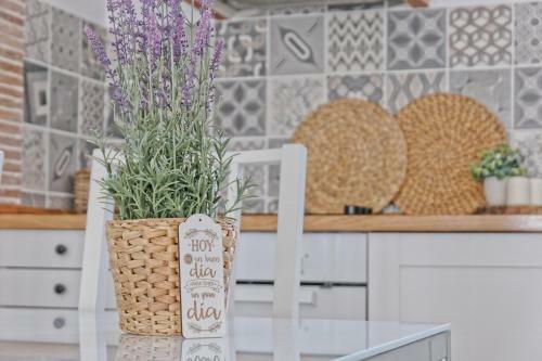 Apartamentos Roseta En Calahorra