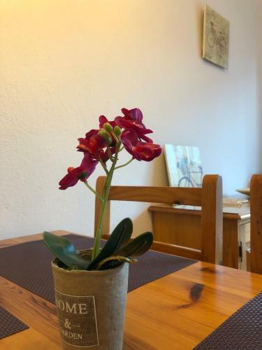 Apartaments S'arenella