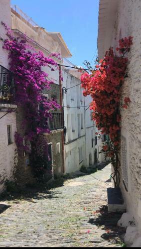 Townhouse - Casa Javier --coderch Mil�