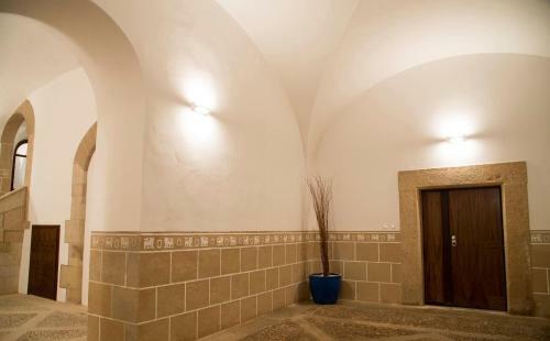 Apartamento Palacio C�ceres Deluxe