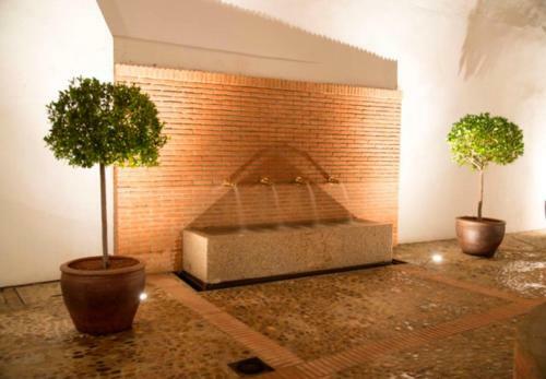 Apartamento Casa Palacio Mu�oz Chaves