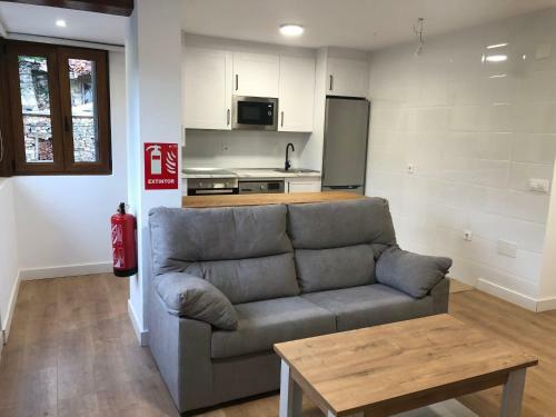 Apartamentos El Puente