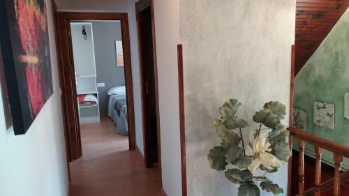 Casa Teresa