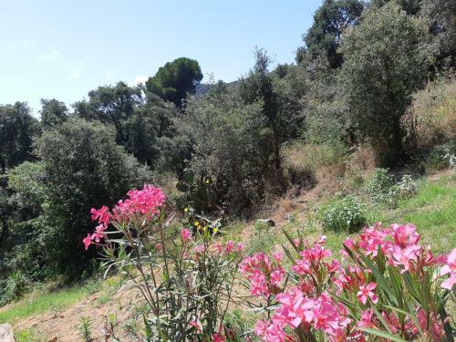 Sea View Holiday House Calonge