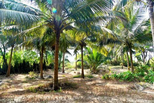 Agroturismo Sneh Seafacing Camping