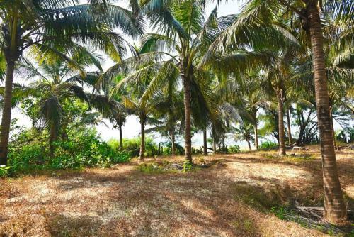 Agroturismo Sneh Seafacing Camping