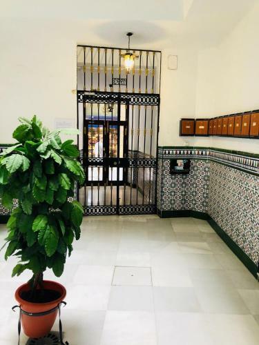 Apartamento San Francisco