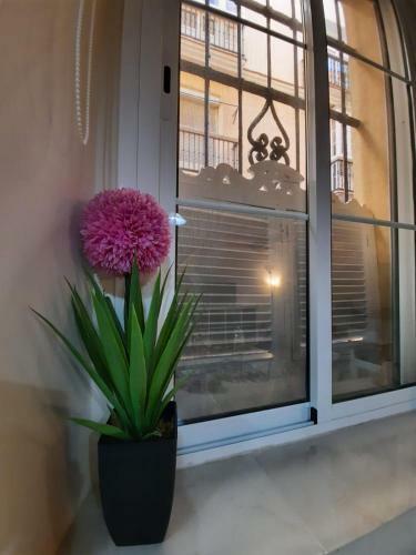 Apartamento Precioso D�plex En El Coraz�n de C�diz