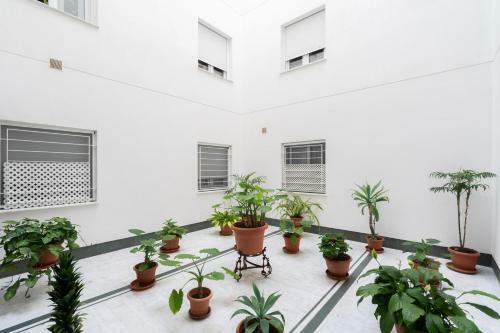Crist�bal Colon Apartamento Con Terraza