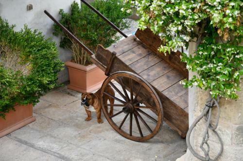 Hostal Dimora Duchessina Suites De Charme
