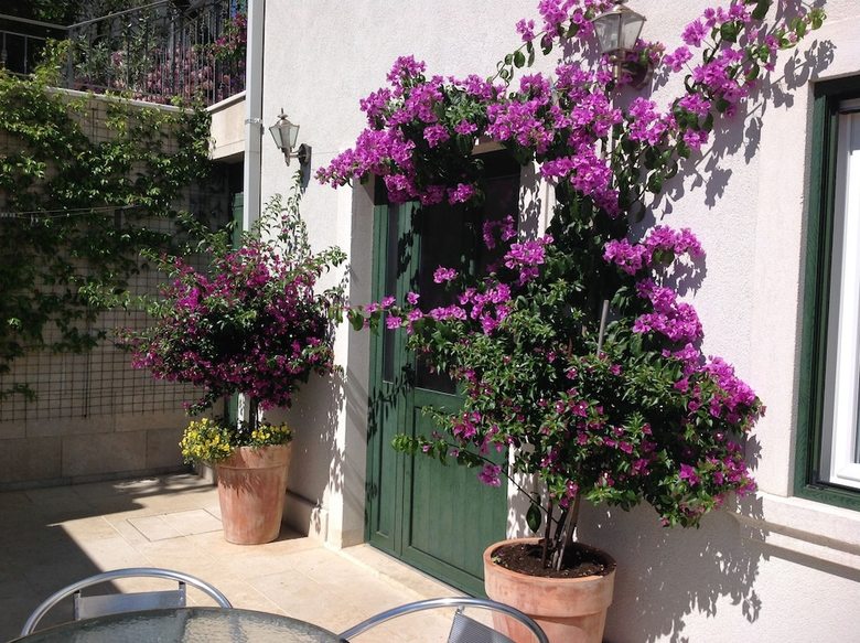 Apartments Villa Brumnic