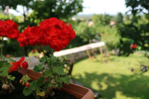 Hostal Holiday Home Bale - Valle