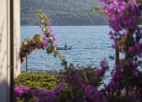 Apartamentos Villa Opatija