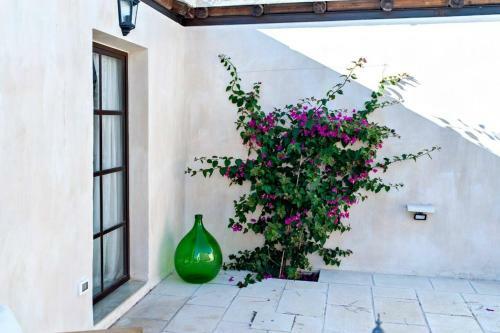 Bed & Breakfast Casina Solatia