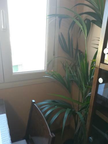 Apartamento Novena House