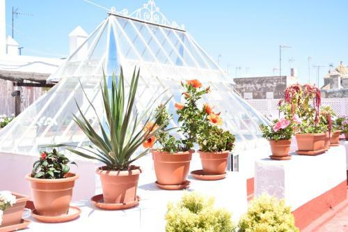 Apartamento La Discusi�n De Veedor 12