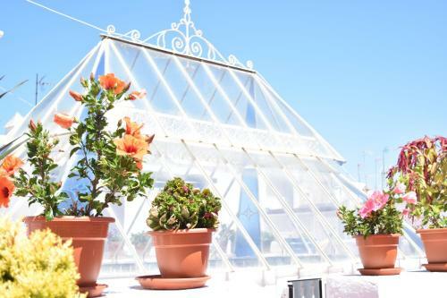 Apartamento La Discusi�n De Veedor 12