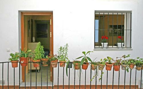 Apartamento Playa De La Caleta