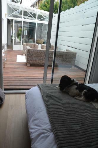 Apartamento Villa Cosy Refaite � Neuf Au C?ur de La Baule