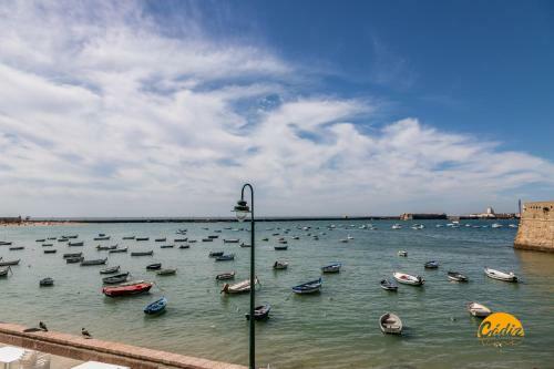 Apartamento El Patio Del Mar ?wifi ? Petfriendly ? Ecofriendly