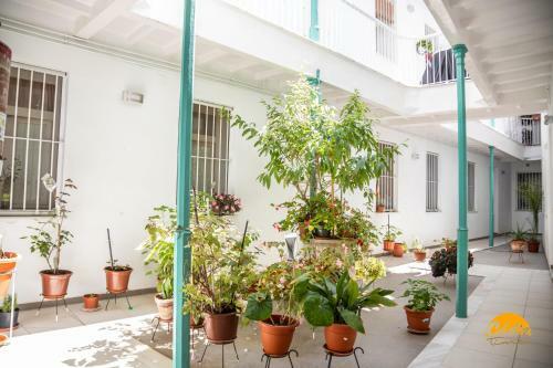 Apartamento El Patio Del Mar ?wifi ? Petfriendly ? Ecofriendly