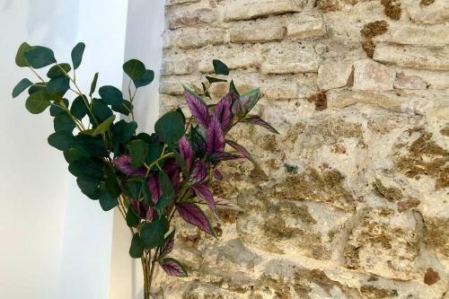 Apartamento Gatu Villa Libertad