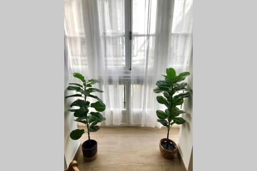 Apartamento Gatu Villa Libertad