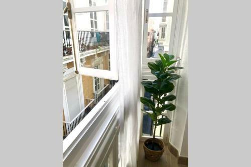 Apartamento Gatu Villa Libertad