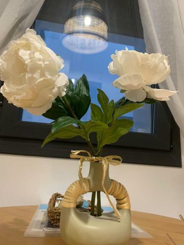 Apartamento Pitusa Home