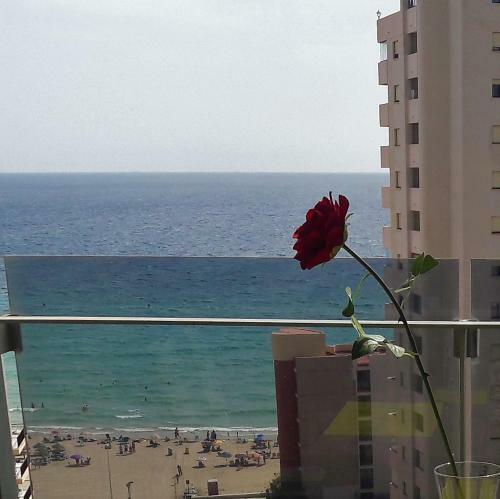 Mirador Apart