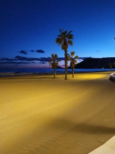 Apartamento Primera Linea De Playa Con Garaje