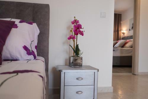 Apartments Paradis