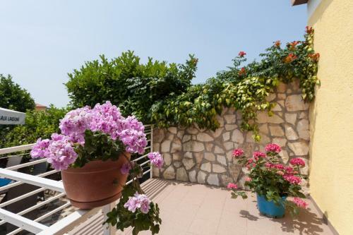 Apartments Paradis