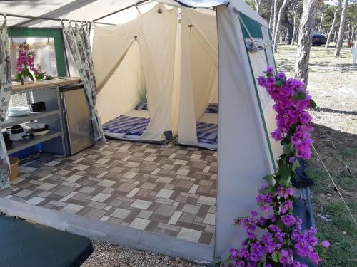 Camping Planik