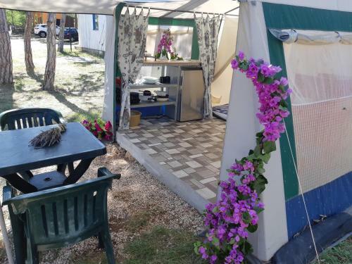 Camping Planik