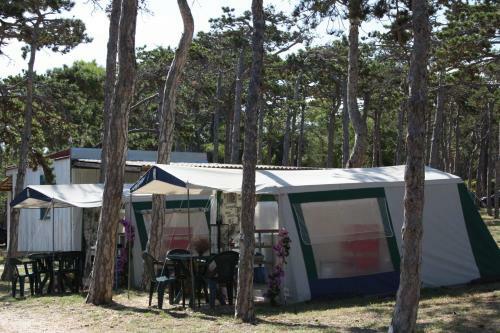 Camping Planik