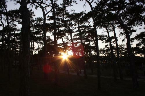 Camping Planik