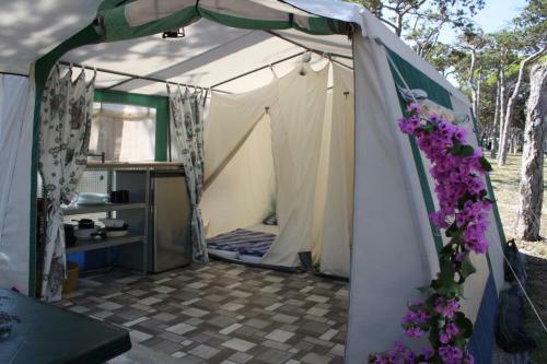 Camping Planik