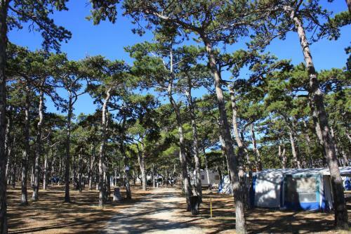 Camping Planik