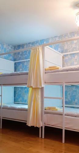 Albergue ?????? ?????????