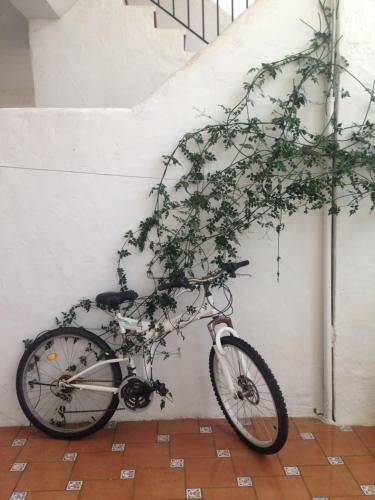 Apartamento Los Veleros Chiclana
